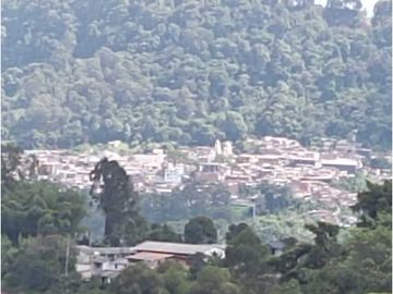 Vendo Casa Campestre Fredonia Antioquia