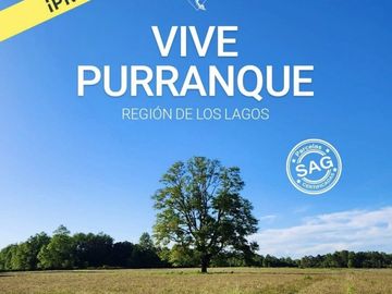 OFERTA PARCELAS PLANAS A 5 MINUTOS DEL CENTRO DE PURRANQUE
