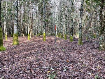 ISLA SUBDIVIDIDA CON ROL PROPIO ESPECIAL PARA INVERSIÓN