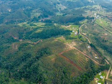 PARCELAS EN LICANTÉN A 10 MINUTOS DEL RÍO ROL PROPIO MAULE