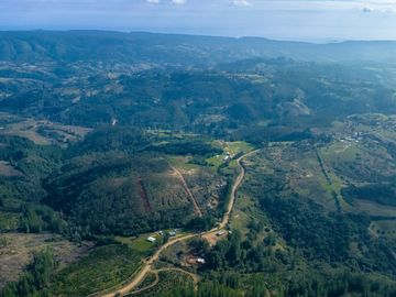 PARCELAS EN LICANTÉN A 10 MINUTOS DEL RÍO ROL PROPIO MAULE
