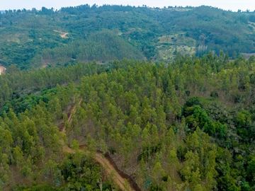 PARCELAS EN LICANTÉN A 10 MINUTOS DEL RÍO ROL PROPIO MAULE