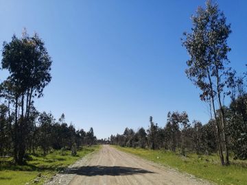 PARCELAS PLANAS CON DESCUENTO POR LIQUIDACIÓN FINAL CHILLÁN