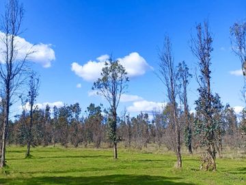 PARCELAS PLANAS CON DESCUENTO POR LIQUIDACIÓN FINAL CHILLÁN