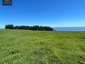 LIQUIDACIÓN PARCELAS VISTA AL MAR EN DUAO 5000M2 ROL PROPIO