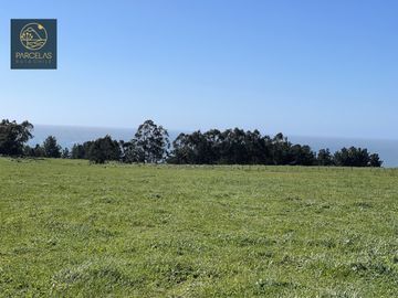 LIQUIDACIÓN PARCELAS VISTA AL MAR EN DUAO 5000M2 ROL PROPIO