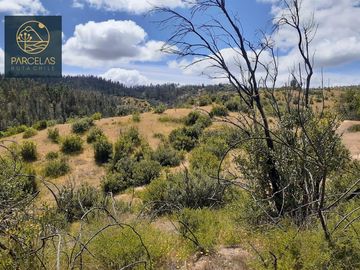 PARCELAS EN HUALAÑE 5000M2 ROL PROPIO TOPOGRAFÍA EN ALTURA