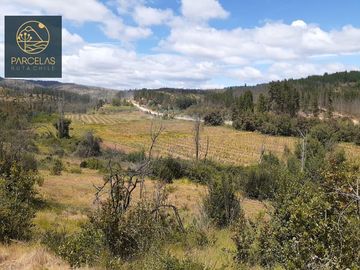 PARCELAS EN HUALAÑE 5000M2 ROL PROPIO TOPOGRAFÍA EN ALTURA