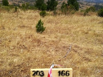 PARCELAS EN HUALAÑE 5000M2 ROL PROPIO TOPOGRAFÍA EN ALTURA