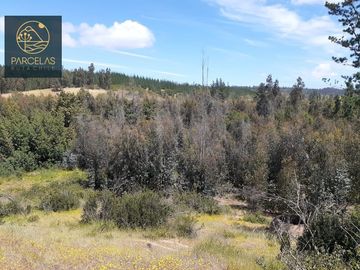PARCELAS EN HUALAÑE 5000M2 ROL PROPIO TOPOGRAFÍA EN ALTURA