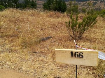 PARCELAS EN HUALAÑE 5000M2 ROL PROPIO TOPOGRAFÍA EN ALTURA