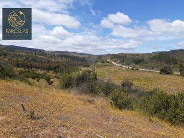 PARCELAS EN HUALAÑE 5000M2 ROL PROPIO TOPOGRAFÍA EN ALTURA