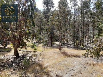 PARCELAS EN HUALAÑE 5000M2 ROL PROPIO TOPOGRAFÍA EN ALTURA