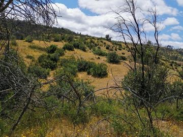 PARCELAS EN HUALAÑE 5000M2 ROL PROPIO TOPOGRAFÍA EN ALTURA