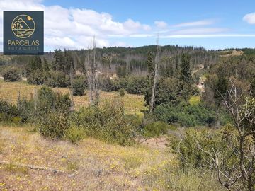 PARCELAS EN HUALAÑE 5000M2 ROL PROPIO TOPOGRAFÍA EN ALTURA