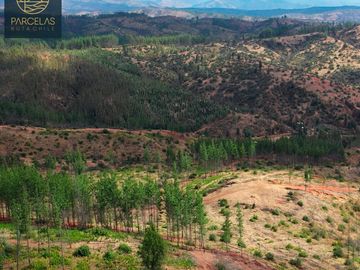 PARCELAS EN HUALAÑE 5000M2 ROL PROPIO TOPOGRAFÍA EN ALTURA