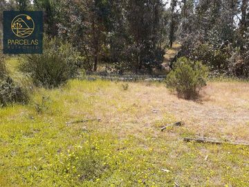 PARCELAS EN HUALAÑE 5000M2 ROL PROPIO TOPOGRAFÍA EN ALTURA
