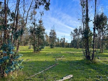 PARCELAS EN VICHUQUÉN A MINUTOS PLAYA LLICO FINANCIAMIENTO