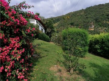 VENDO CASA FINCA CON PISCINA LOTE 5.500M2 - ANAPOIMA LAS MERCEDES