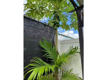 VENTA DE CASA BOSQUES DEL PRADO (PH), ARRAIJAN
