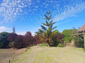 Hermosa casa en Maitencillo con amplio terreno