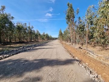 PARCELAS ORO VERDE CON PROYECTO ELECTRICO - CHILLAN