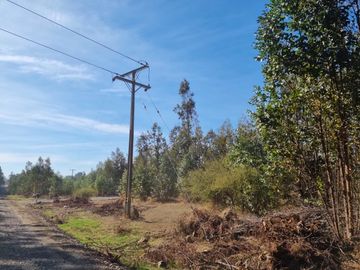 PARCELAS ORO VERDE CON PROYECTO ELECTRICO - CHILLAN