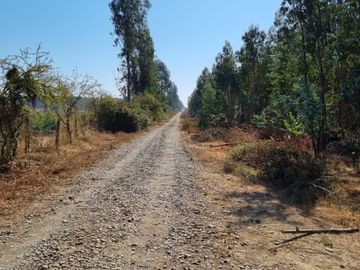 PARCELAS ORO VERDE CON PROYECTO ELECTRICO - CHILLAN