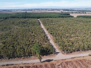 PARCELAS ORO VERDE CON PROYECTO ELECTRICO - CHILLAN