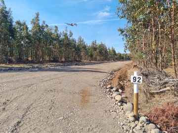 PARCELAS ORO VERDE CON PROYECTO ELECTRICO - CHILLAN