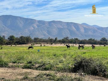 MELIPILLA. VENDE 23 HECTAREAS CON CASAS. MEDIA LUNA Y GALPÓN