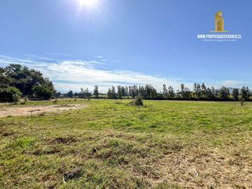 MELIPILLA. VENDE 23 HECTAREAS CON CASAS. MEDIA LUNA Y GALPÓN