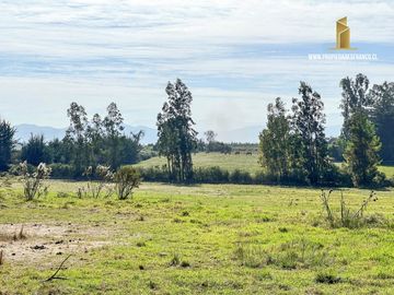 MELIPILLA. VENDE 23 HECTAREAS CON CASAS. MEDIA LUNA Y GALPÓN