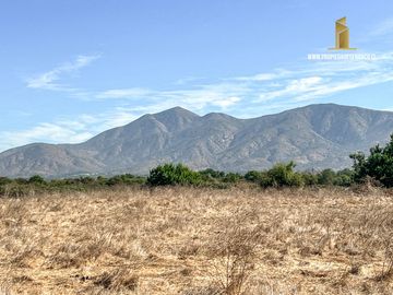 MELIPILLA. VENDE 23 HECTAREAS CON CASAS. MEDIA LUNA Y GALPÓN
