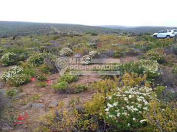 SE VENDE PARCELA DE AGRADO COSTA DORADA IV REGION
