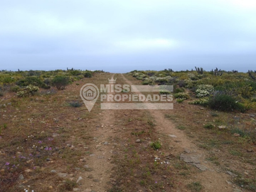 SE VENDE PARCELA DE AGRADO COSTA DORADA IV REGION
