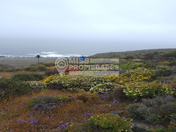 SE VENDE PARCELA DE AGRADO COSTA DORADA IV REGION