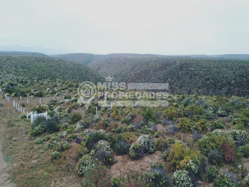 SE VENDE PARCELA DE AGRADO COSTA DORADA IV REGION