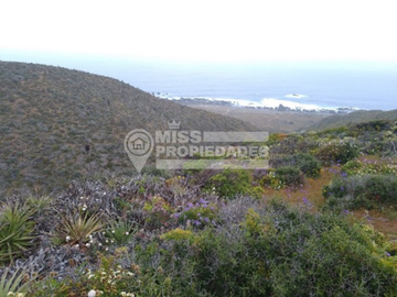 SE VENDE PARCELA DE AGRADO COSTA DORADA IV REGION
