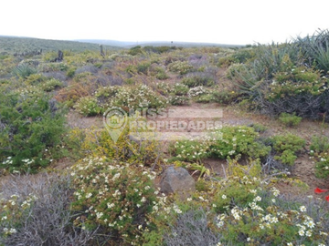 SE VENDE PARCELA DE AGRADO COSTA DORADA IV REGION
