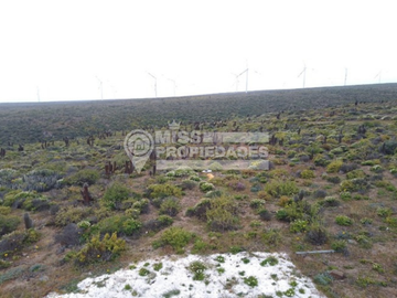 SE VENDE PARCELA DE AGRADO COSTA DORADA IV REGION