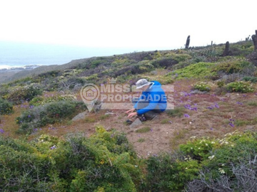 SE VENDE PARCELA DE AGRADO COSTA DORADA IV REGION