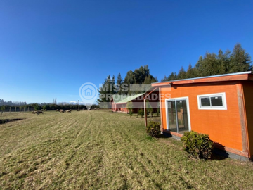 SE VENDE CAMPO CON CASA PATRONAL REGIÓN DE ÑUBLE