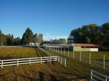SE VENDE CAMPO CON CASA PATRONAL REGIÓN DE ÑUBLE