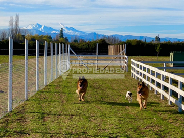 SE VENDE CAMPO CON CASA PATRONAL REGIÓN DE ÑUBLE