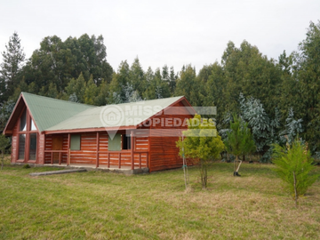 SE VENDE CAMPO CON CASA PATRONAL REGIÓN DE ÑUBLE