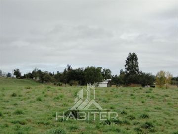 Parcela en Venta en Sector Loncotoro ,a 11 Km de Llanquihue -.