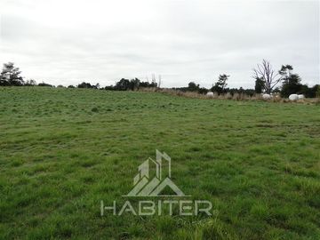 Parcela en Venta en Sector Loncotoro ,a 11 Km de Llanquihue -.