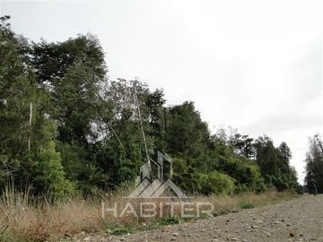 Parcela en Venta en Sector Loncotoro ,a 11 Km de Llanquihue -.