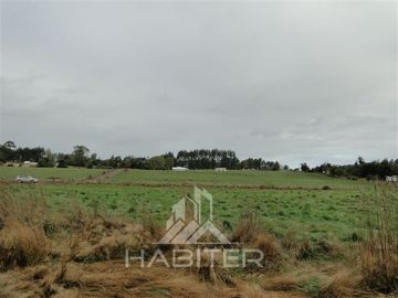 Parcela en Venta en Sector Loncotoro ,a 11 Km de Llanquihue -.